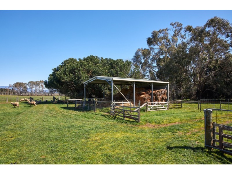 528 Cressy Road, Longford TAS 7301