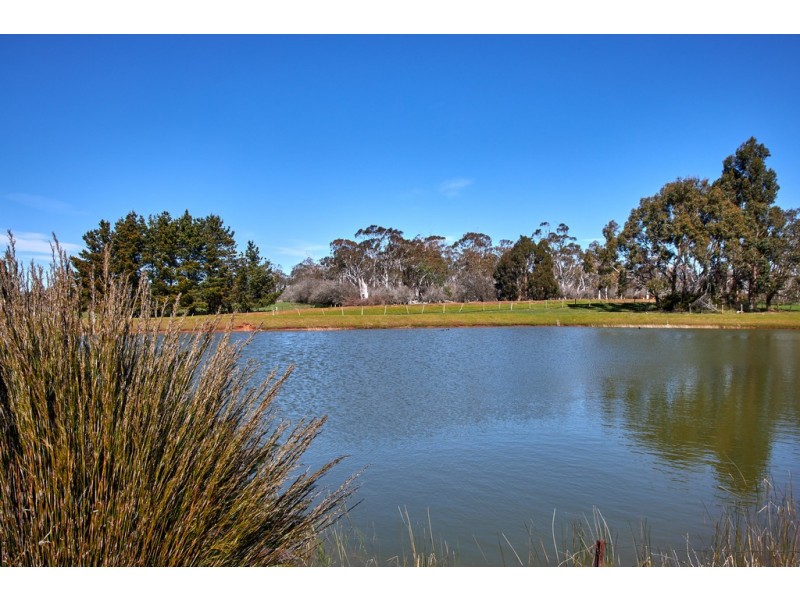 528 Cressy Road, Longford TAS 7301
