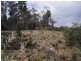 Lots 1 and 2 Arthurs Lake Road, Arthurs Lake TAS 7030