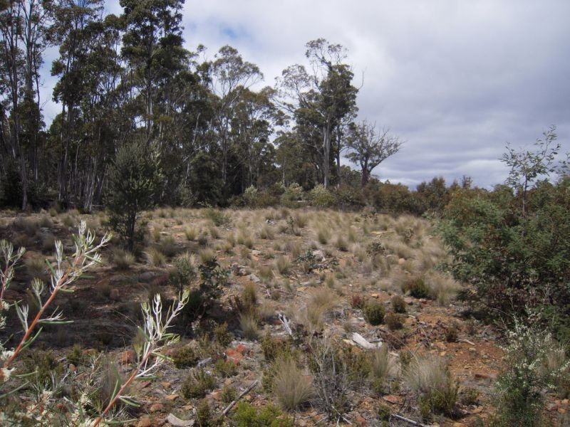 Lots 1 and 2 Arthurs Lake Road, Arthurs Lake TAS 7030