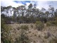 Lots 1 and 2 Arthurs Lake Road, Arthurs Lake TAS 7030