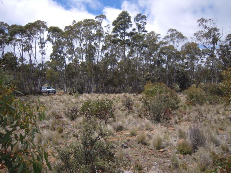 Lots 1 and 2 Arthurs Lake Road, Arthurs Lake TAS 7030