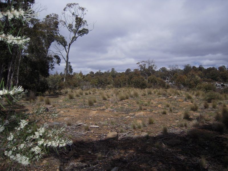 Lots 1 and 2 Arthurs Lake Road, Arthurs Lake TAS 7030