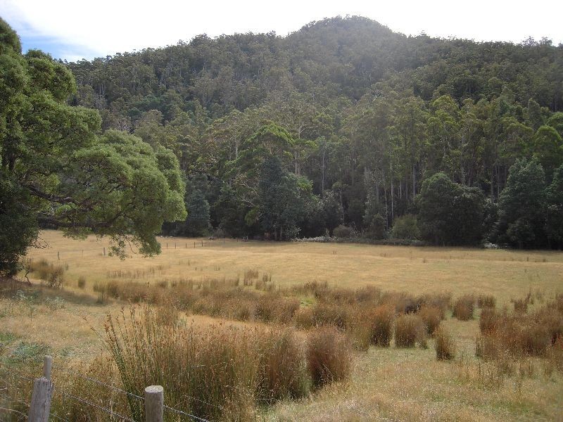 1809 Liffey Road, Liffey TAS 7301