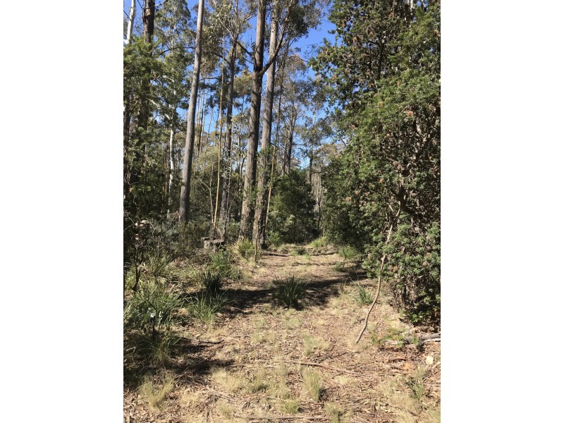 92 Lakeview Road, Lake Leake TAS 7210