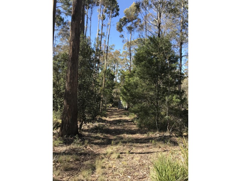 92 Lakeview Road, Lake Leake TAS 7210