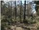 92 Lakeview Road, Lake Leake TAS 7210