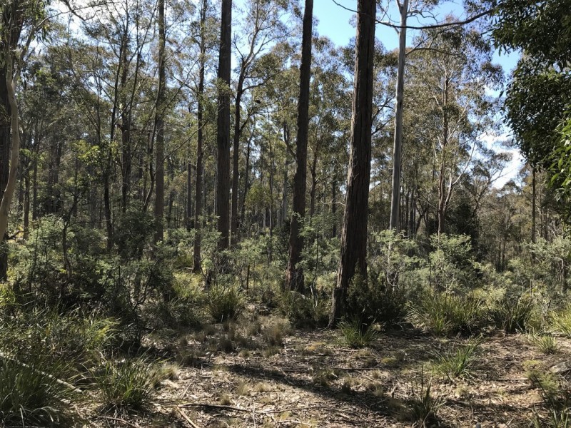 92 Lakeview Road, Lake Leake TAS 7210
