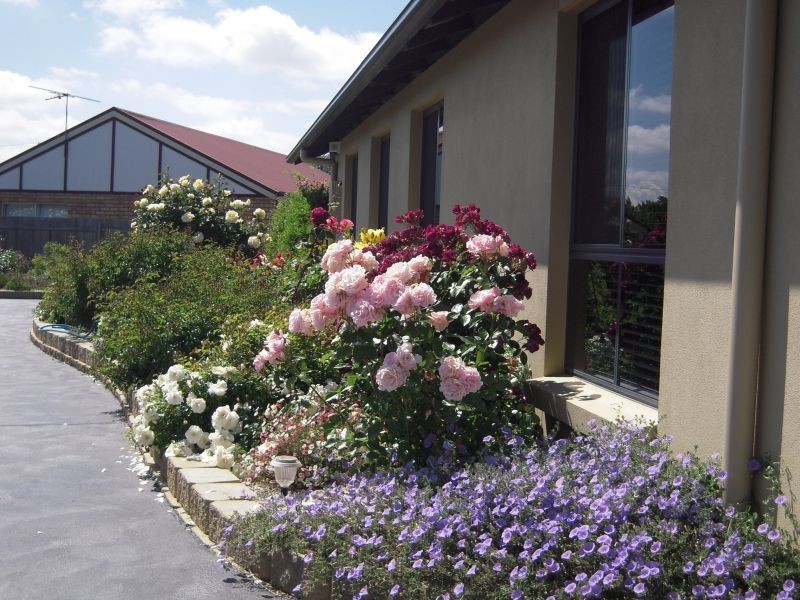 2/4 Monica Place, Perth TAS 7300