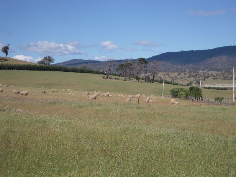 421 Logan Road, Evandale TAS 7212