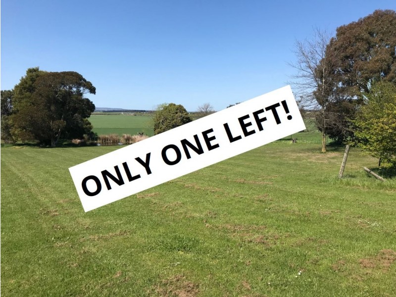 Lots 2 and 3 133 Main Street, Cressy TAS 7302