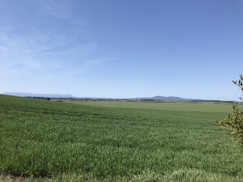 Lots 2 and 3 133 Main Street, Cressy TAS 7302