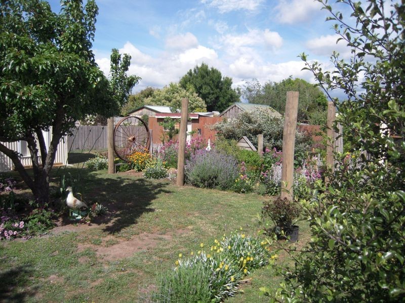 16 Charles Street, Cressy TAS 7302