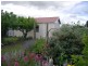16 Charles Street, Cressy TAS 7302
