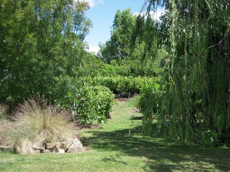 46 Elizabeth Street, Bracknell TAS 7302