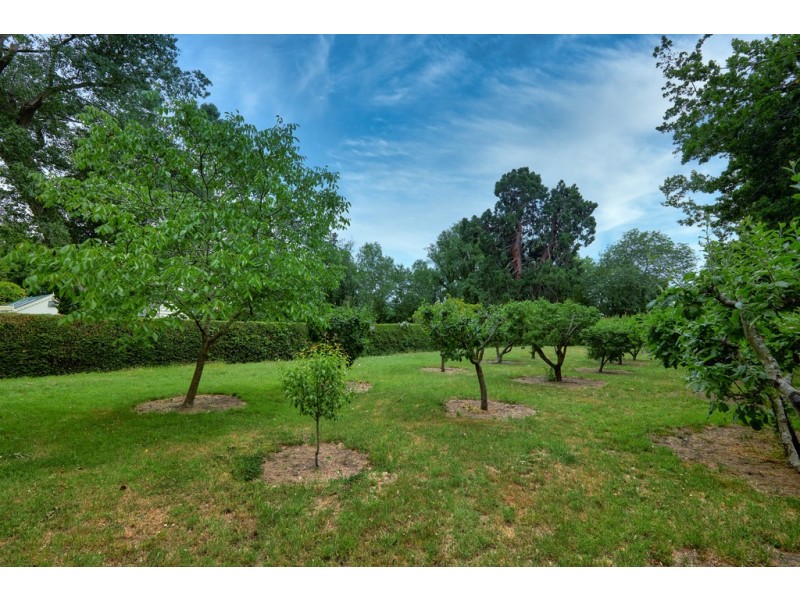 1393 Saundridge Road, Cressy TAS 7302