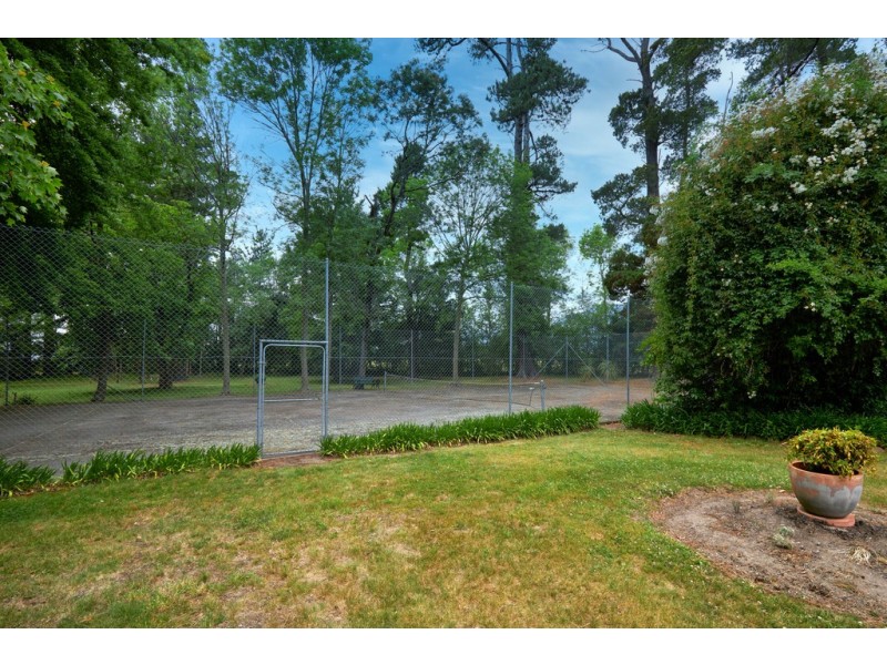 1393 Saundridge Road, Cressy TAS 7302