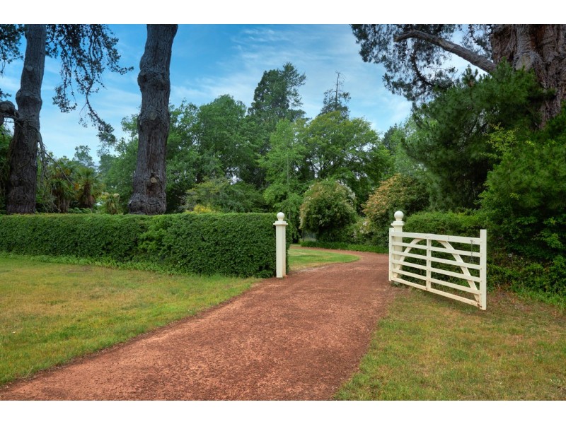 1393 Saundridge Road, Cressy TAS 7302