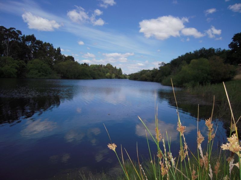 16A William Street, Perth TAS 7300