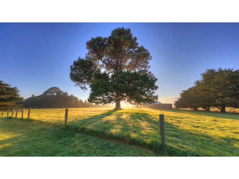 Lot 1 Musselroe Bay, Musselroe Bay TAS 7264