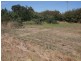 Cnr Howick and Gay Street, Longford TAS 7301