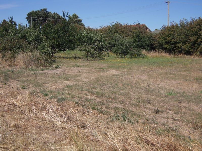 Cnr Howick and Gay Street, Longford TAS 7301