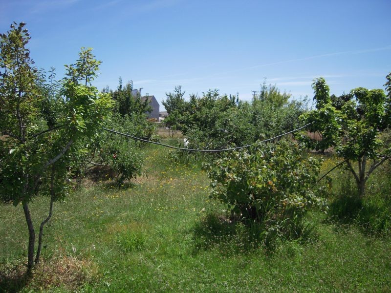 9 Howick Street, Longford TAS 7301