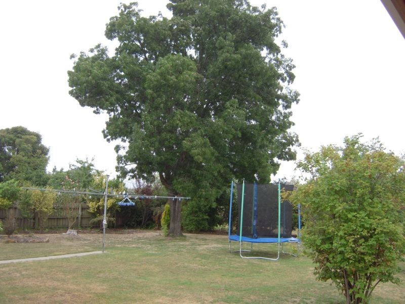 9 Burghley Street, Longford TAS 7301