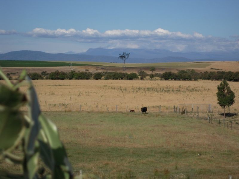 163  Wellington Street, Longford TAS 7301