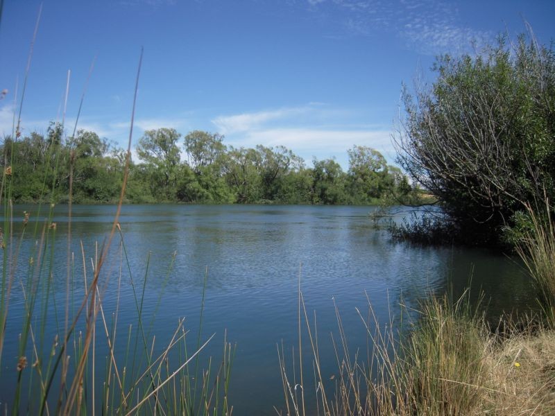 163  Wellington Street, Longford TAS 7301