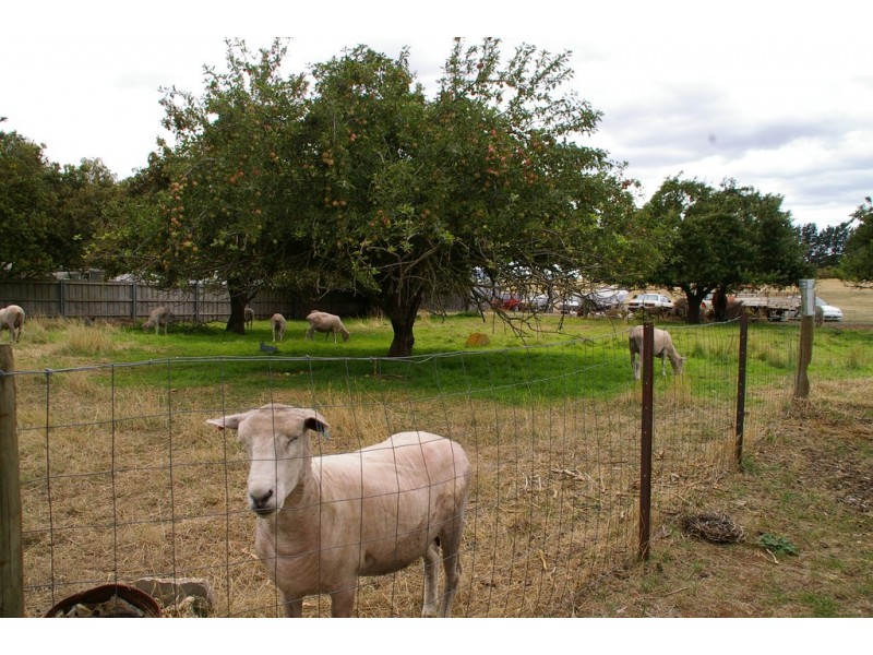 1 West Street, Campbell Town TAS 7210