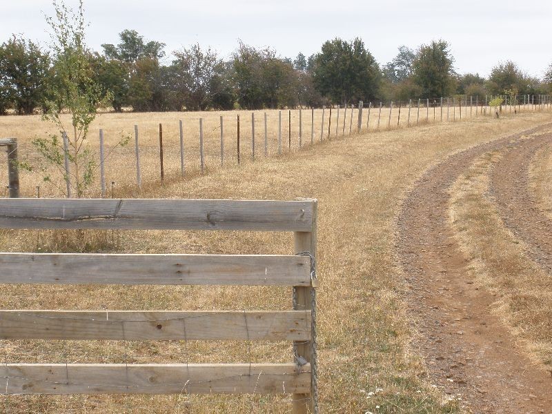 84 Franklin Street, Westbury TAS 7303