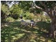17 Union Street, Longford TAS 7301