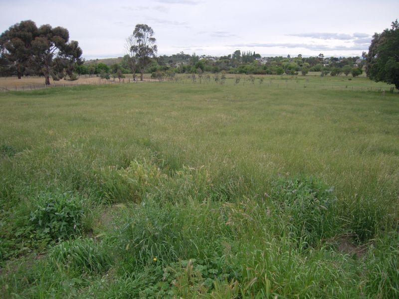 Lot 1/ 154 High Street, Campbell Town TAS 7210