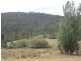 837 Sawpit Hill Road, Blessington TAS 7212
