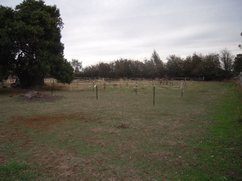 14 Taylor Street, Westbury TAS 7303