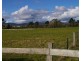 Lot 2 Bedford Street, Campbell Town TAS 7210