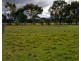 Lot 2 Bedford Street, Campbell Town TAS 7210