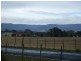 19 Murfett Street, Cressy TAS 7302