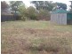 19 Murfett Street, Cressy TAS 7302