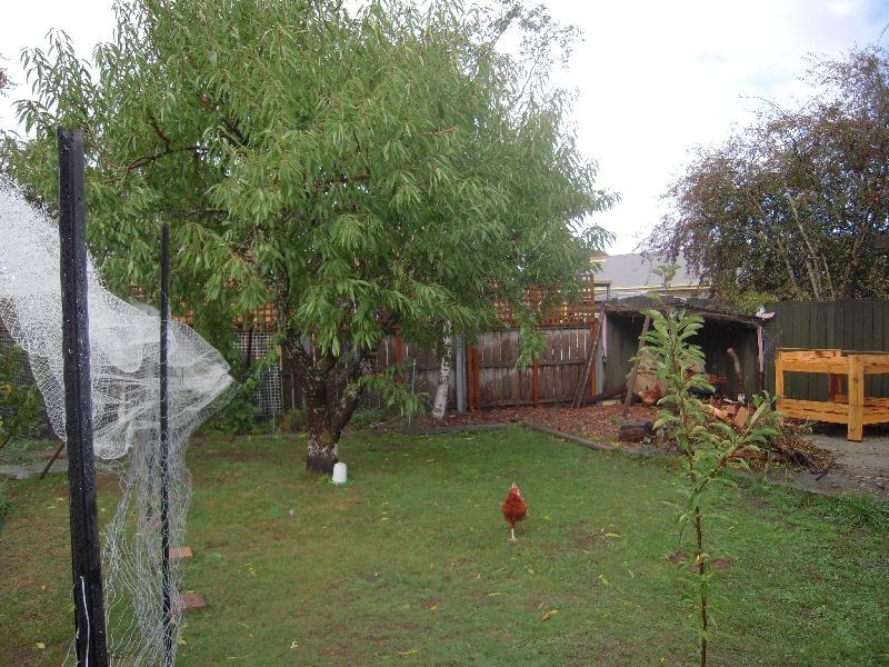 19 Pultney Street, Longford TAS 7301