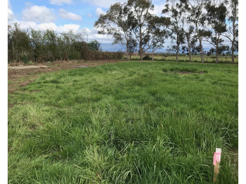 Lot 2 8A King Street, Cressy TAS 7302