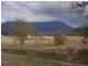 1064 Liffey Road, Liffey TAS 7301
