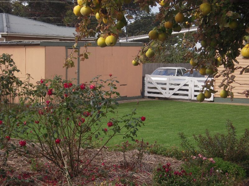 9 Lyttleton Street, Longford TAS 7301
