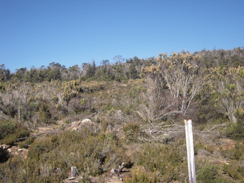 Lot 1 Barren Plains Road, Miena TAS 7030