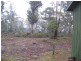 Arthurs Lake TAS 7030