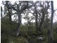 Lot 18 – 223 Barren Plains Road, Miena TAS 7030