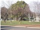 11 Murray Street, Evandale TAS 7212