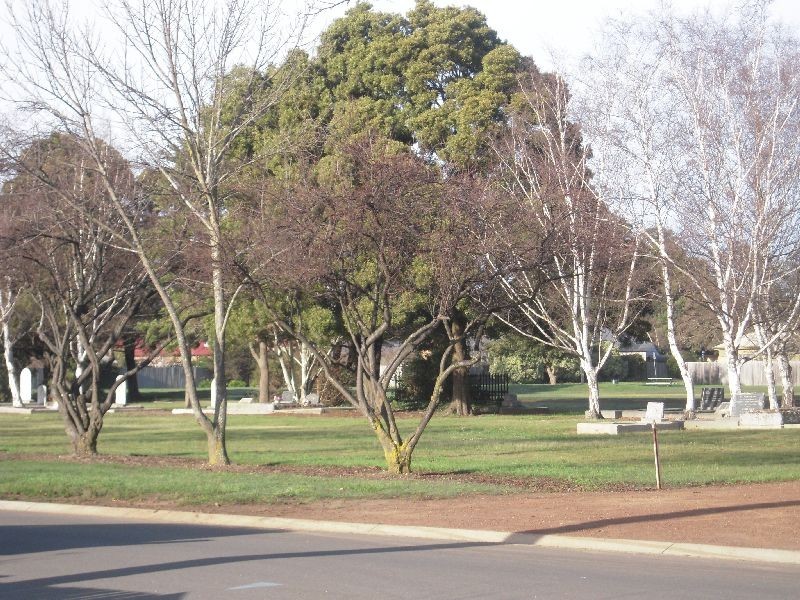 11 Murray Street, Evandale TAS 7212