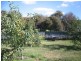 1408 Birralee Road, Birralee TAS 7303